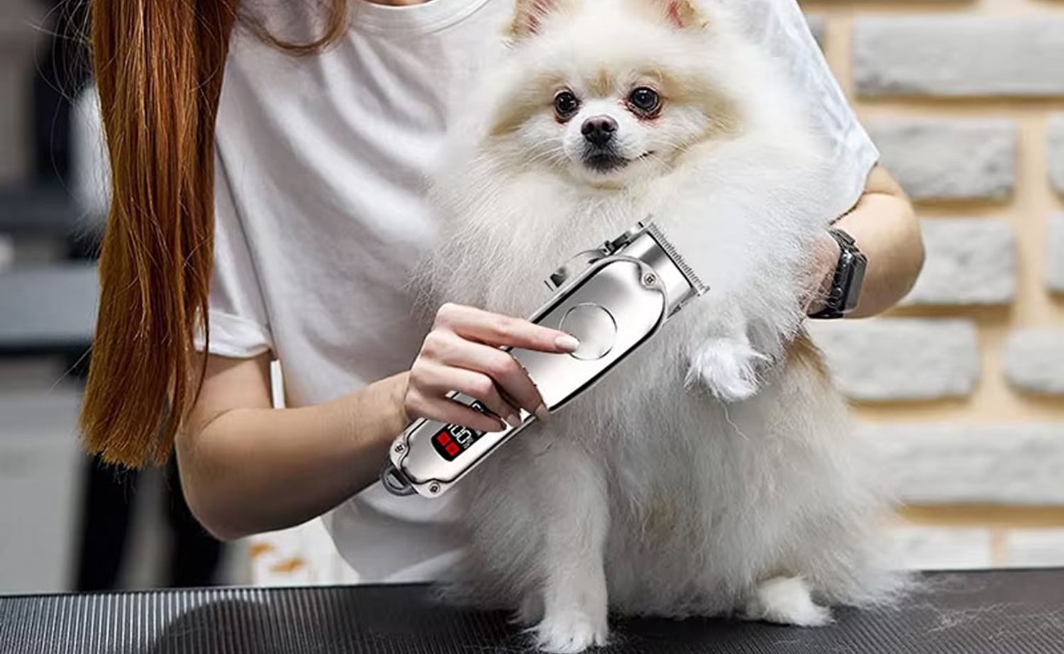 Best 5 Dog Clippers of 2025: Stress-Free Grooming for Happy Pets