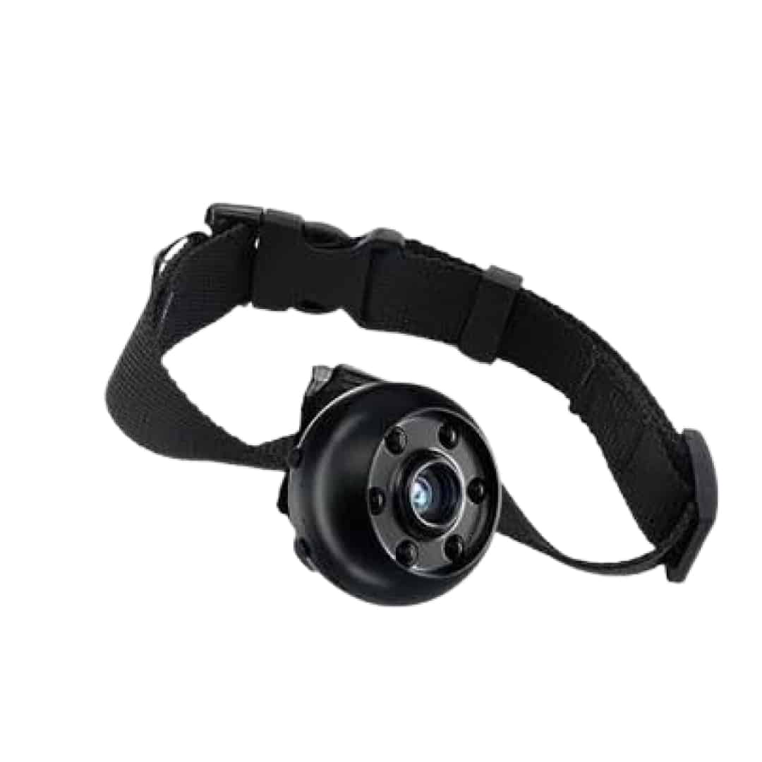 5 Best Cat Collar Cameras of 2025: Never Miss Your Pet's Secret ...
